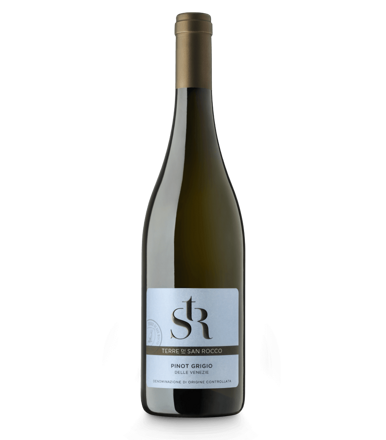 TERRE DI SAN ROCCO - PINOT GRIGIO